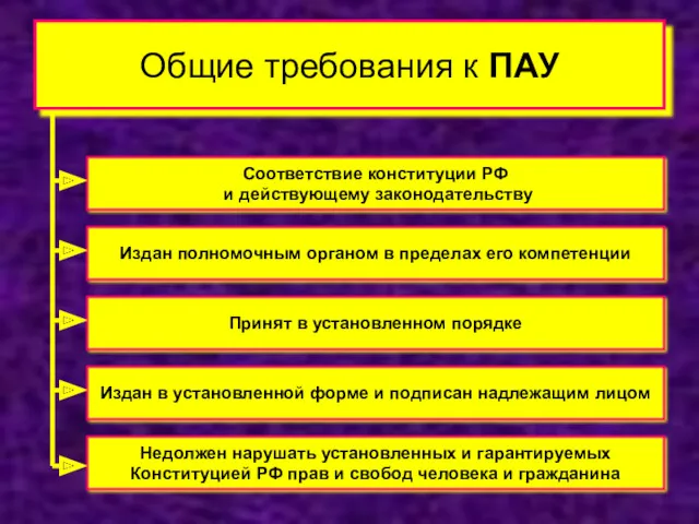 Общие требования к ПАУ Соответствие конституции РФ и действующему законодательству