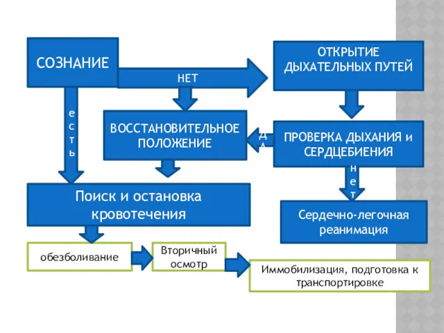 СОЗНАНИЕ НЕТ ОТКРЫТИЕ ДЫХАТЕЛЬНЫХ ПУТЕЙ ПРОВЕРКА ДЫХАНИЯ и СЕРДЦЕБИЕНИЯ ВОССТАНОВИТЕЛЬНОЕ