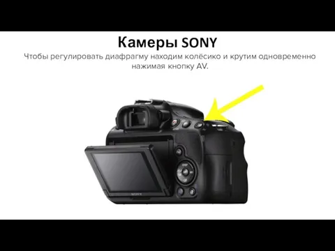 Камеры SONY Чтобы регулировать диафрагму находим колёсико и крутим одновременно нажимая кнопку AV.