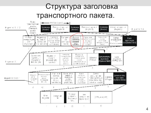 4 Структура заголовка транспортного пакета.