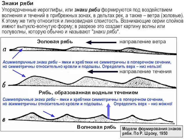 направление ветра направление течения Эоловая рябь Рябь, образованная водным течением