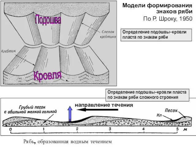 Модели формирования знаков ряби По Р. Шроку, 1950 Рябь, образованная