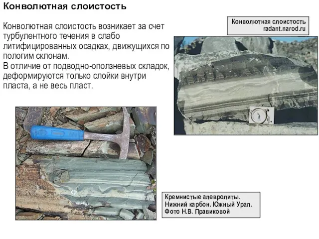 Конволютная слоистость Конволютная слоистость возникает за счет турбулентного течения в