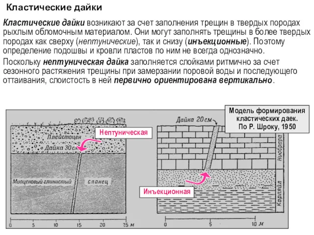 Кластические дайки Кластические дайки возникают за счет заполнения трещин в