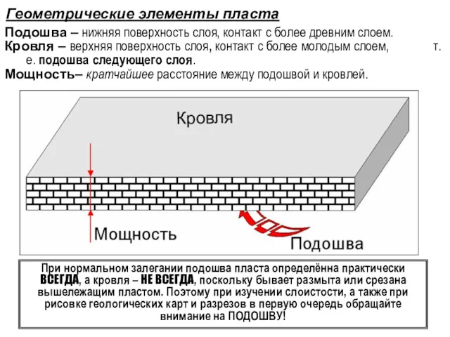 Геометрические элементы пласта Подошва – нижняя поверхность слоя, контакт с