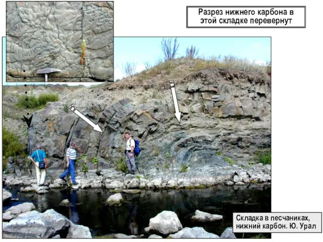 Разрез нижнего карбона в этой складке перевернут Складка в песчаниках, нижний карбон. Ю. Урал