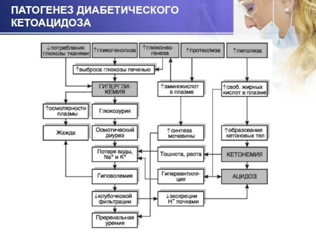 ПАТОГЕНЕЗ ДИАБЕТИЧЕСКОГО КЕТОАЦИДОЗА