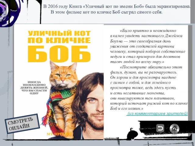 В 2016 году Книга «Уличный кот по имени Боб» была экранизирована. В этом