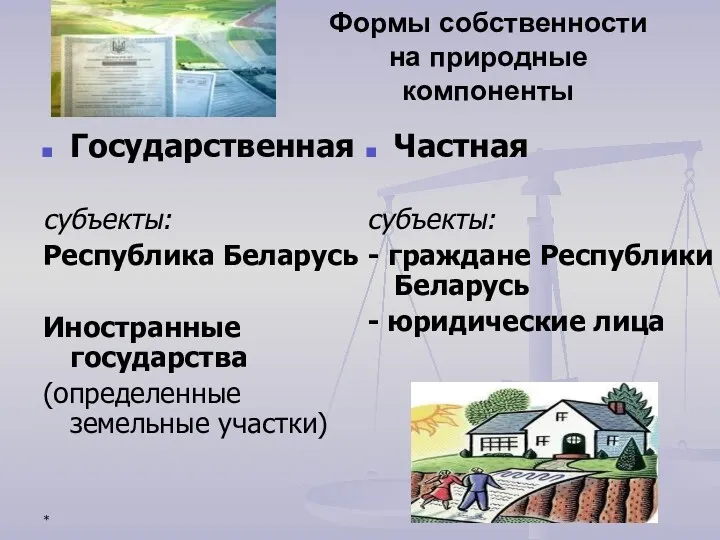 * Формы собственности на природные компоненты Государственная субъекты: Республика Беларусь