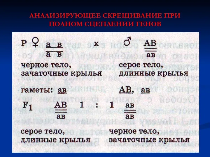 АНАЛИЗИРУЮЩЕЕ СКРЕЩИВАНИЕ ПРИ ПОЛНОМ СЦЕПЛЕНИИ ГЕНОВ