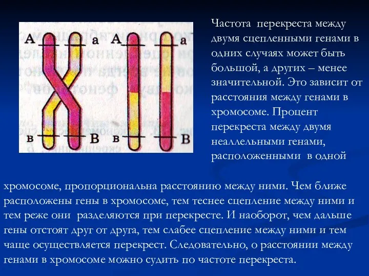 Частота перекреста между двумя сцепленными генами в одних случаях может