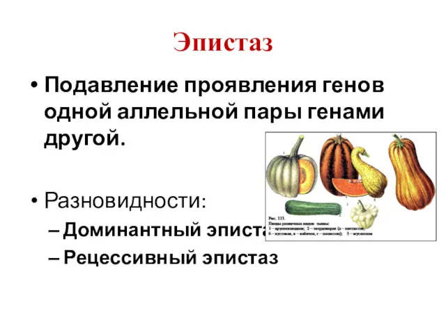 Эпистаз Подавление проявления генов одной аллельной пары генами другой. Разновидности: Доминантный эпистаз Рецессивный эпистаз