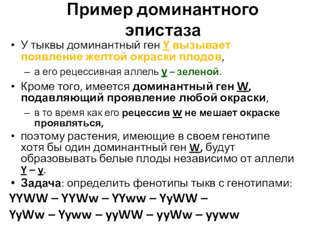 Пример доминантного эпистаза У тыквы доминантный ген Y вызывает появление