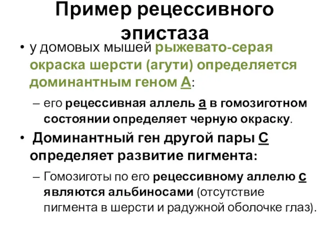 Пример рецессивного эпистаза у домовых мышей рыжевато-серая окраска шерсти (агути)