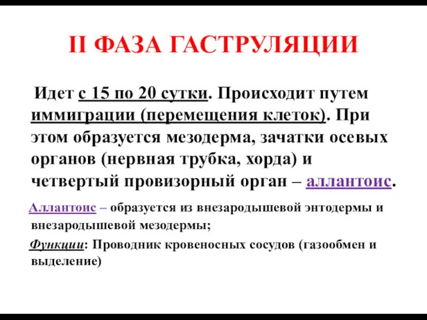 II ФАЗА ГАСТРУЛЯЦИИ Идет с 15 по 20 сутки. Происходит