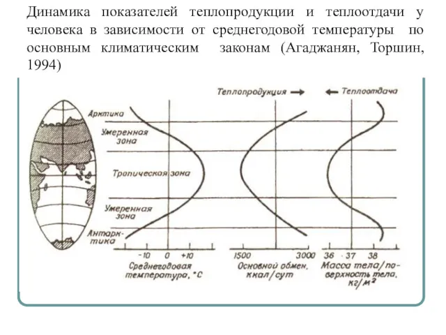 Динамика показателей теплопродукции и теплоотдачи у человека в зависимости от