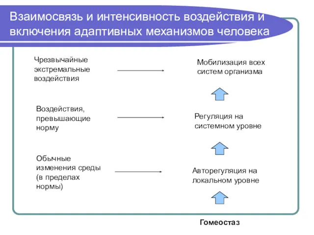 Взаимосвязь и интенсивность воздействия и включения адаптивных механизмов человека Чрезвычайные