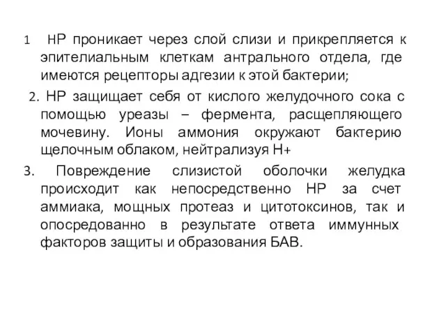 Нр-ассоциированный, антральный гастрит 1 HР проникает через слой слизи и