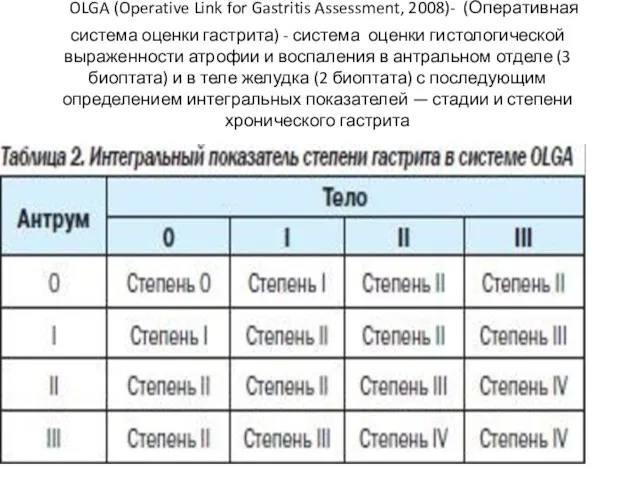 OLGA (Operative Link for Gastritis Assessment, 2008)- (Оперативная система оценки