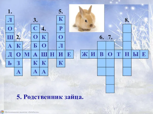 5. Родственник зайца. 1. 2. 3. 4. 5. 6. 7. 8.