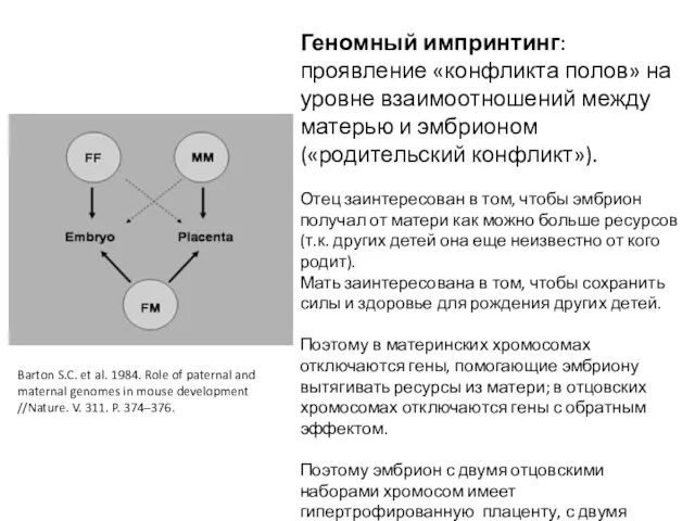 Геномный импринтинг: проявление «конфликта полов» на уровне взаимоотношений между матерью