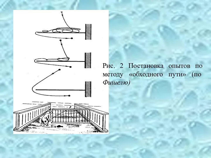 Рис. 2 Постановка опытов по методу «обходного пути» (по Фишелю)