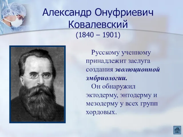 Александр Онуфриевич Ковалевский (1840 – 1901) Русскому ученному принадлежит заслуга