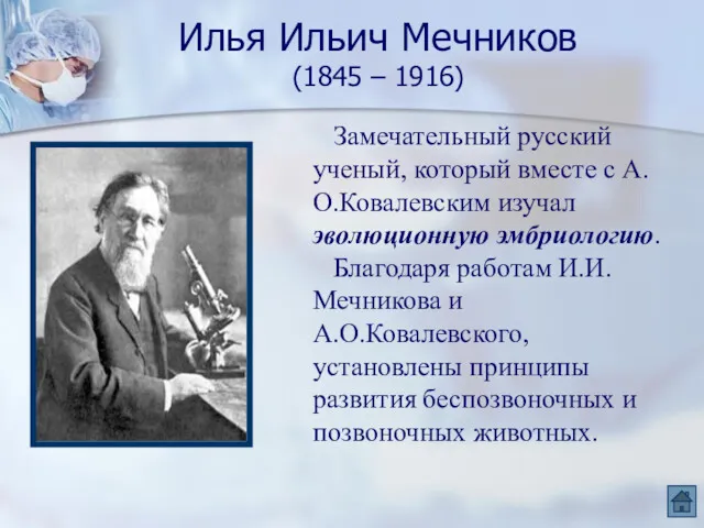 Илья Ильич Мечников (1845 – 1916) Замечательный русский ученый, который
