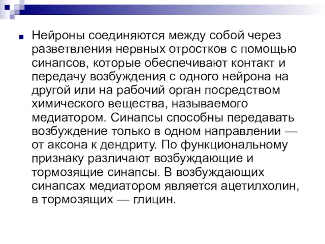 Нейроны соединяются между собой через разветвления нервных отростков с помощью