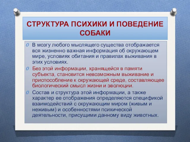 СТРУКТУРА ПСИХИКИ И ПОВЕДЕНИЕ СОБАКИ В мозгу любого мыслящего существа