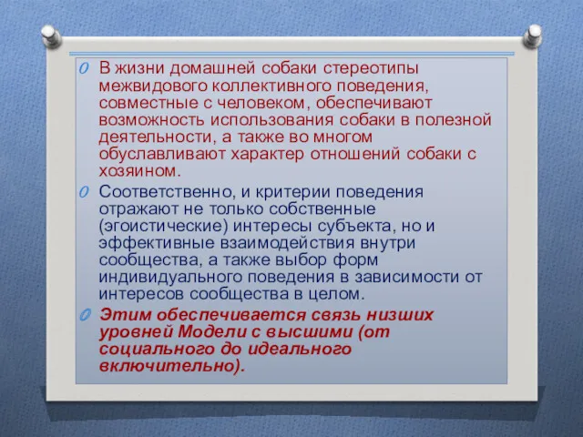 В жизни домашней собаки стереотипы межвидового коллективного поведения, совместные с