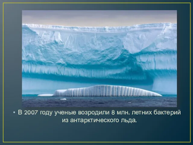 В 2007 году ученые возродили 8 млн. летних бактерий из антарктического льда.