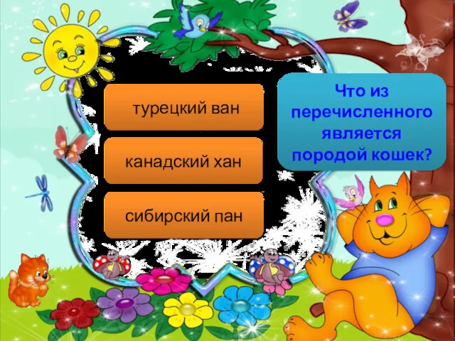 Что из перечисленного является породой кошек? турецкий ван канадский хан сибирский пан