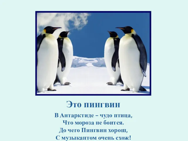 Это пингвин В Антарктиде – чудо птица, Что мороза не