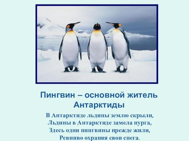 Пингвин – основной житель Антарктиды В Антарктиде льдины землю скрыли,