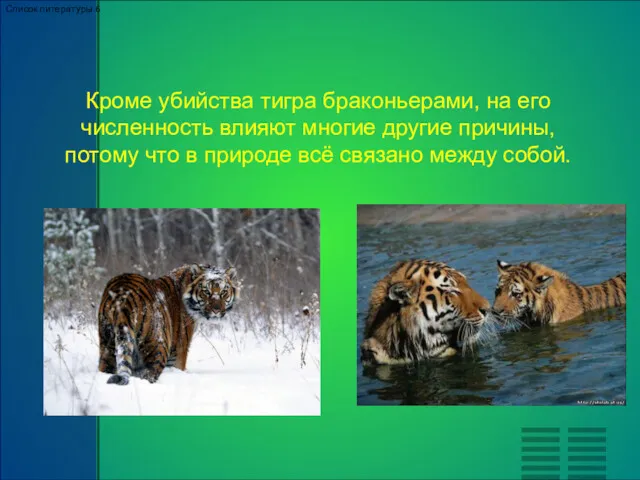 Кроме убийства тигра браконьерами, на его численность влияют многие другие