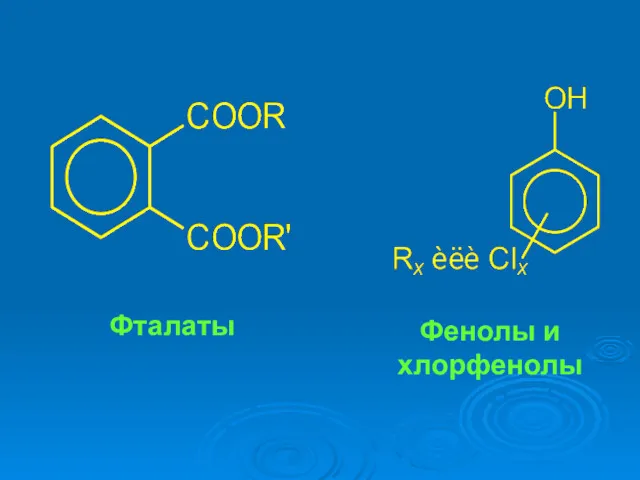 Фталаты Фенолы и хлорфенолы