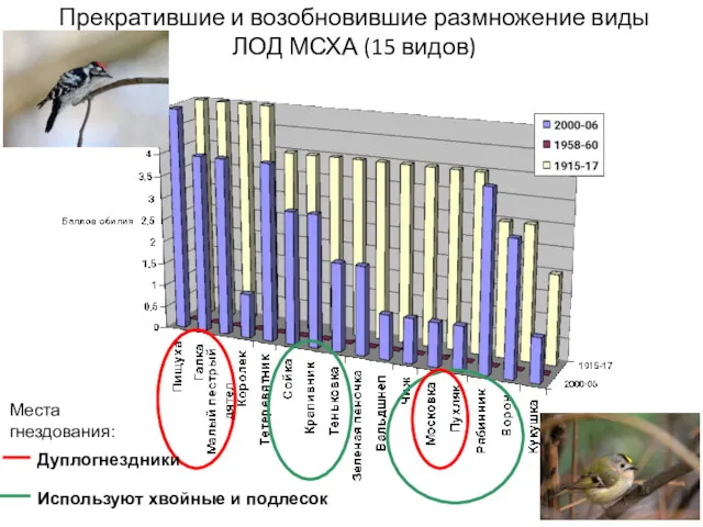 Прекратившие и возобновившие размножение виды ЛОД МСХА (15 видов) Дуплогнездники Используют хвойные и подлесок Места гнездования:
