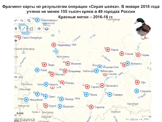 Фрагмент карты по результатам операции «Серая шейка». В январе 2018