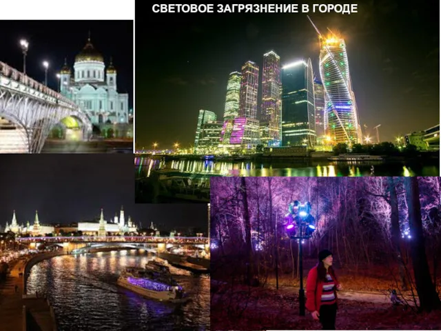 Развитие наружного освещения Москвы удлиняет фотопериод СВЕТОВОЕ ЗАГРЯЗНЕНИЕ В ГОРОДЕ
