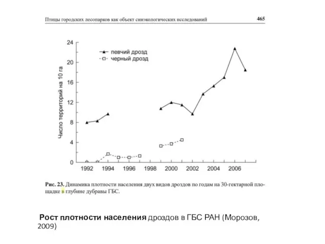 Рост плотности населения дроздов в ГБС РАН (Морозов, 2009)