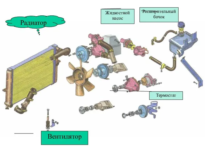 Радиатор Вентилятор Жидкостной насос Термостат Расширительный бачок