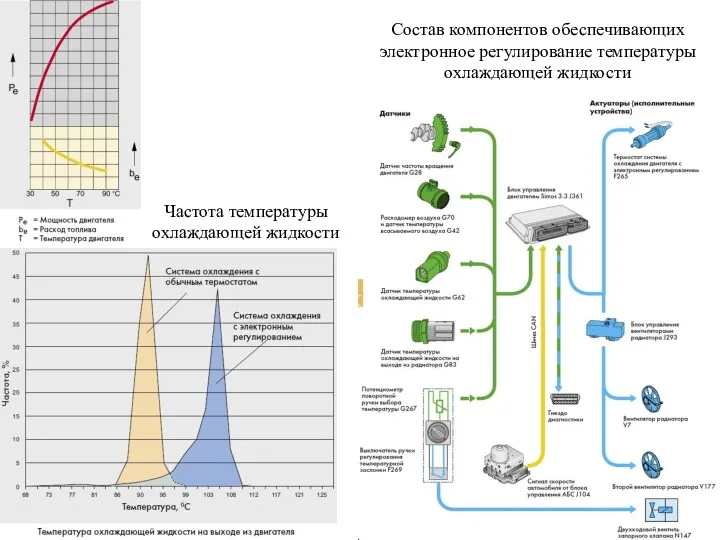 Состав компонентов обеспечивающих электронное регулирование температуры охлаждающей жидкости Частота температуры охлаждающей жидкости