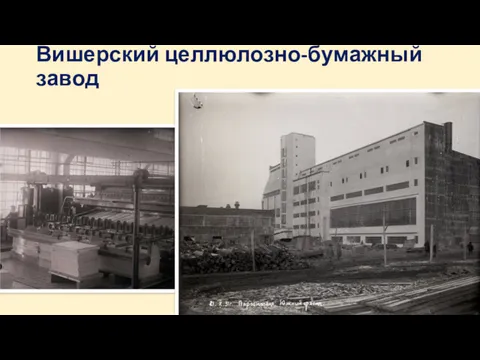 Вишерский целлюлозно-бумажный завод