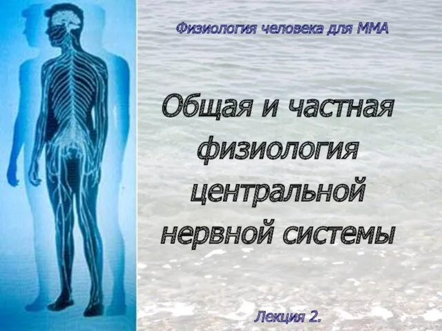 Общая и частная физиология центральной нервной системы Физиология человека для ММА Лекция 2.