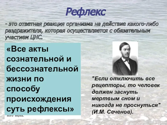 Рефлекс - это ответная реакция организма на действие какого-либо раздражителя,