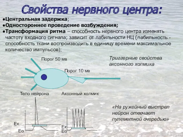 Свойства нервного центра: Центральная задержка; Одностороннее проведение возбуждения; Трансформация ритма