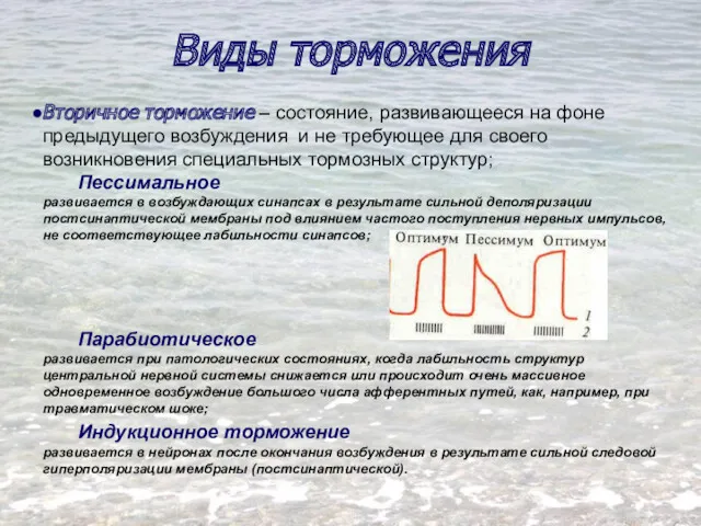 Вторичное торможение – состояние, развивающееся на фоне предыдущего возбуждения и не требующее для