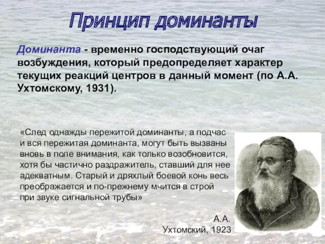 Принцип доминанты Доминанта - временно господствующий очаг возбуждения, который предопределяет характер текущих реакций