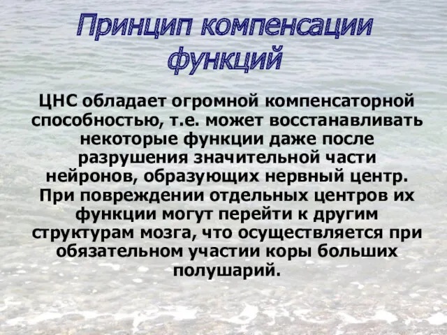 Принцип компенсации функций ЦНС обладает огромной компенсаторной способностью, т.е. может восстанавливать некоторые функции